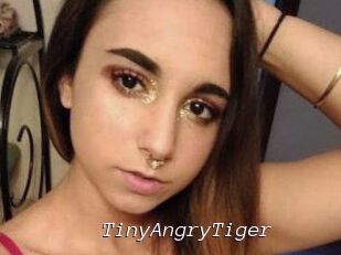 TinyAngryTiger