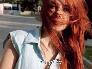 TinyFox