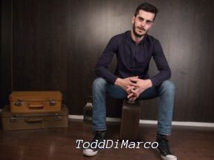 ToddDiMarco