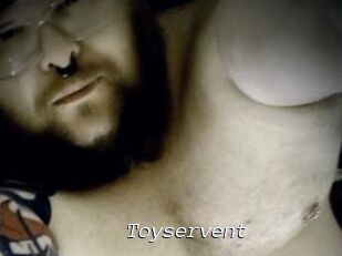 Toyservent