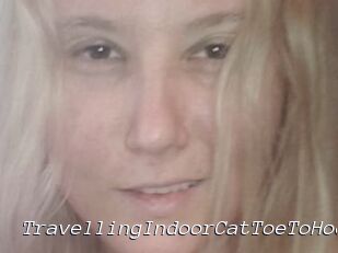 TravellingIndoorCatToeToHoe