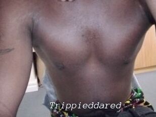 Trippieddared