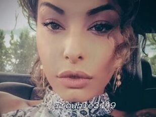 Trouble3449