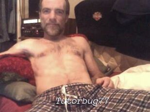 Tutorbug77