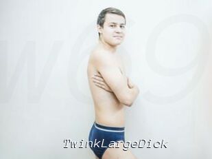 TwinkLargeDick