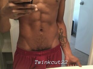 Twinkcut22