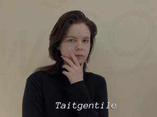 Taitgentile