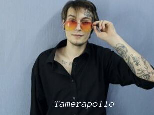 Tamerapollo