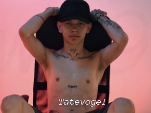 Tatevogel