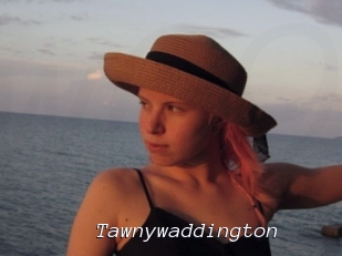 Tawnywaddington