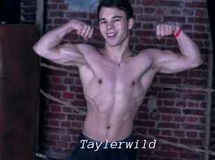 Taylerwild
