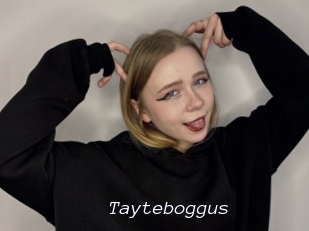 Tayteboggus