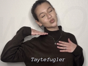 Taytefugler