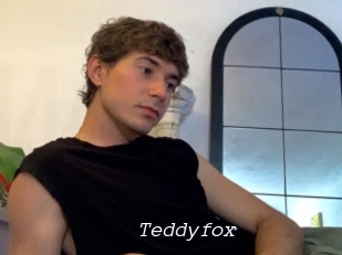 Teddyfox