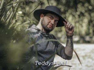 Teddysteel