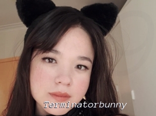 Terminatorbunny