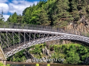 Testvenice