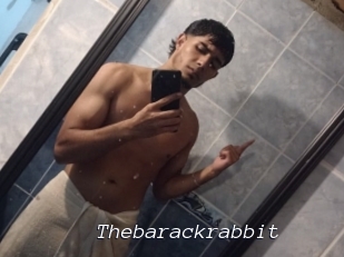 Thebarackrabbit