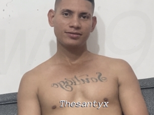 Thesantyx