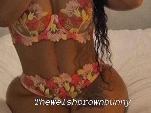 Thewelshbrownbunny