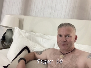 Tiger_18