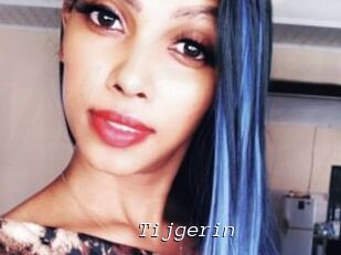 Tijgerin