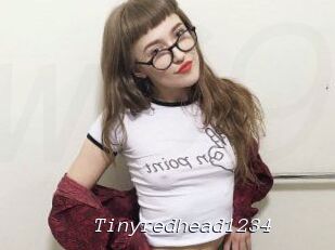 Tinyredhead1234