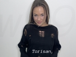 Torisan