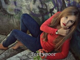Torrymoor