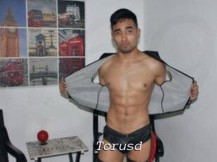 Torusd