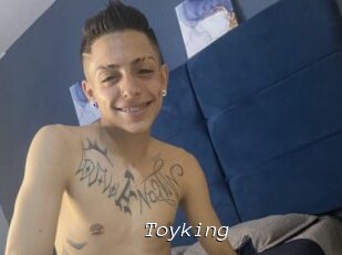 Toyking