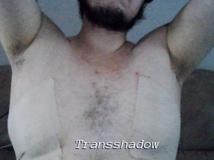 Transshadow