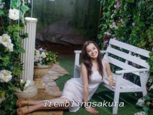 Tremblingsakura