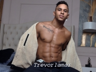 Trevorlamar