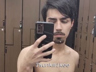 Twunkmikee