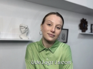 Udelagriscom