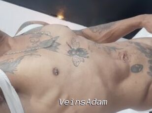 VeinsAdam