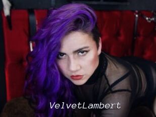 VelvetLambert