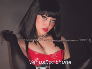 VenusBorthune