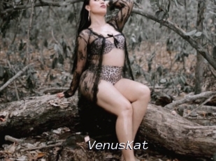 VenusKat
