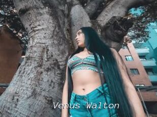 Venus_Walton