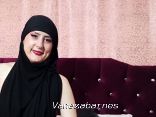 Vanezabarnes