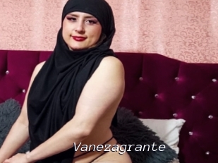 Vanezagrante