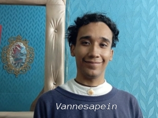 Vannesapein