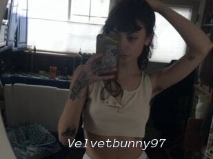 Velvetbunny97