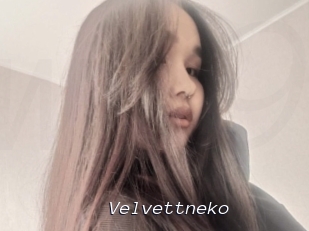 Velvettneko