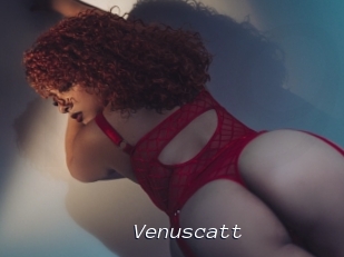 Venuscatt