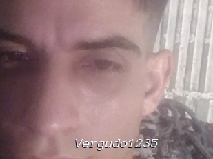 Vergudo1235