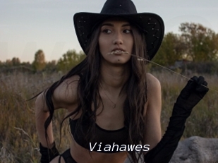 Viahawes
