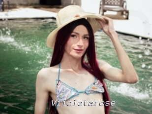 Viioletarose